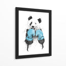 Panda boxeador - Balazs Solti | Cuadro decorativo de Canvas Lab