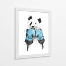 Panda boxeador - Balazs Solti | Cuadro decorativo de Canvas Lab