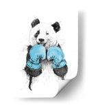 Panda boxeador - Balazs Solti | Cuadro decorativo de Canvas Lab