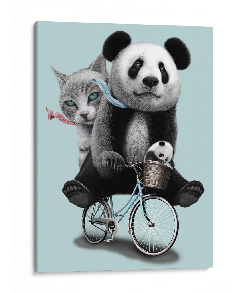 Paseo en bicicleta de gato panda - Adam Lawless | Cuadro decorativo de Canvas Lab