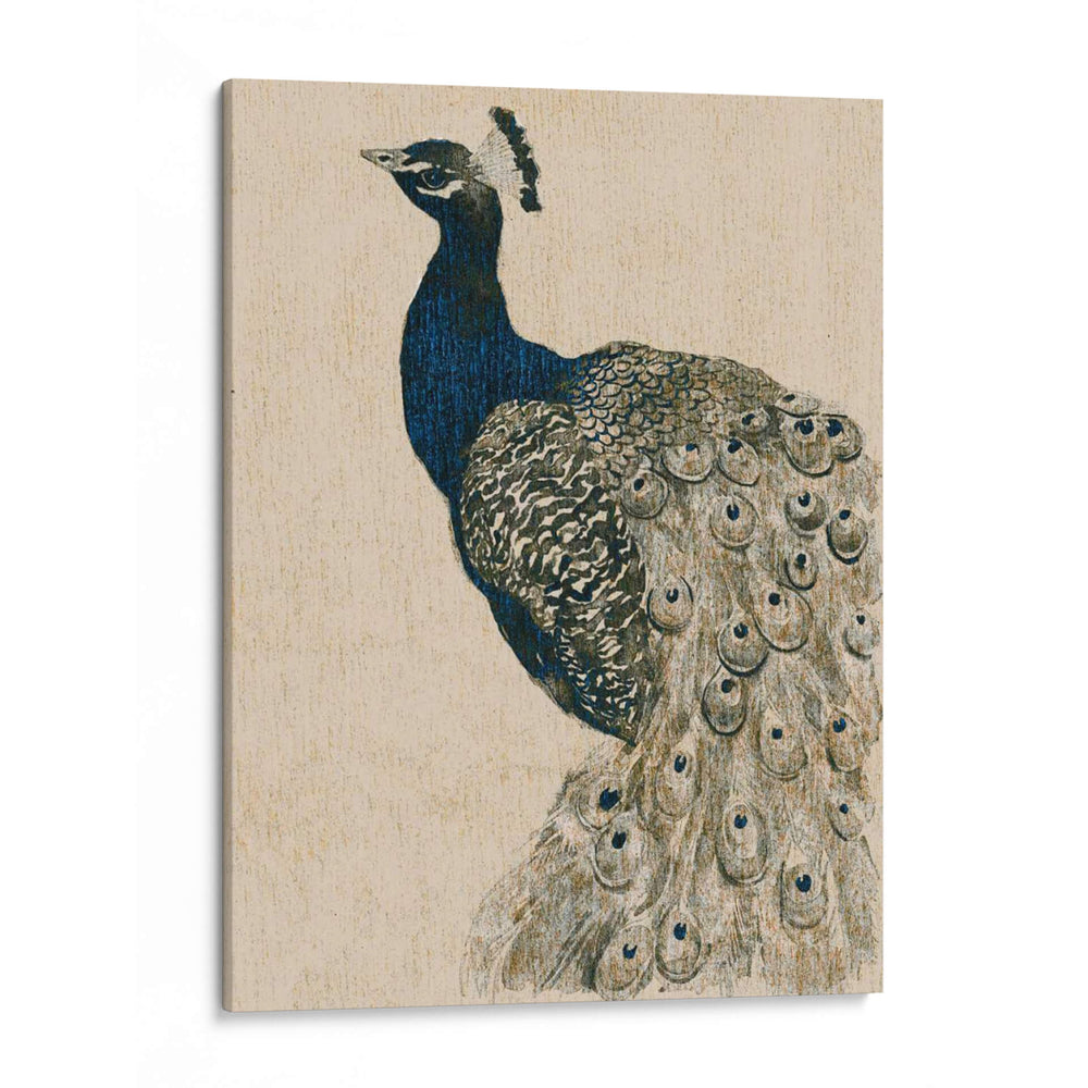 Peacock Texturizado Ii - Grace Popp | Cuadro decorativo de Canvas Lab
