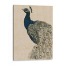 Peacock Texturizado Ii - Grace Popp | Cuadro decorativo de Canvas Lab