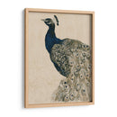 Peacock Texturizado Ii - Grace Popp | Cuadro decorativo de Canvas Lab