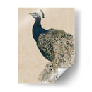 Peacock Texturizado Ii - Grace Popp | Cuadro decorativo de Canvas Lab