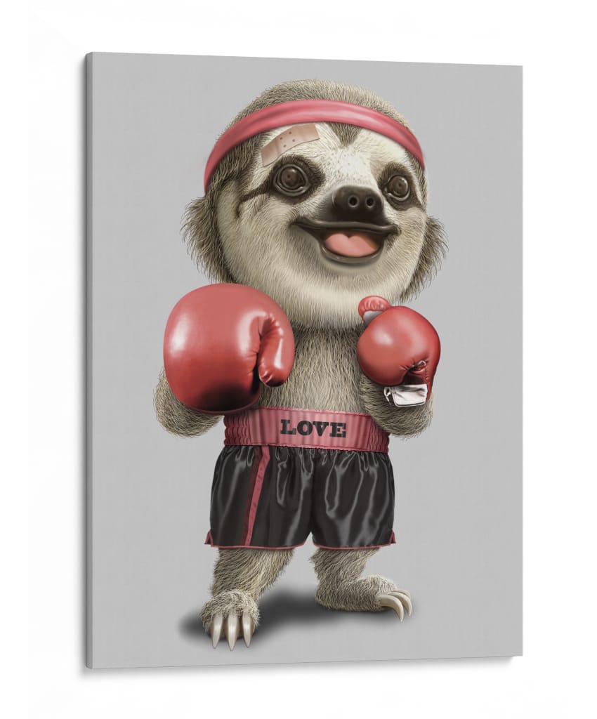 Lindo perezoso boxeador - Adam Lawless | Cuadro decorativo de Canvas Lab