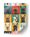 Bulldog Pop - Sae Art | Cuadro decorativo de Canvas Lab