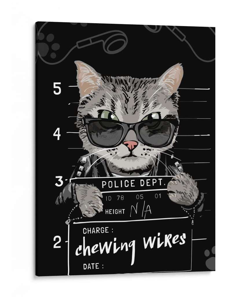 Gato Rebelde - Sae Art | Cuadro decorativo de Canvas Lab