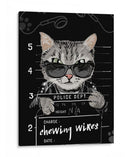 Gato Rebelde - Sae Art | Cuadro decorativo de Canvas Lab
