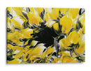 Amarillos en centro de una flor - DIEGO D L | Cuadro decorativo de Canvas Lab