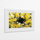 Amarillos en centro de una flor - DIEGO D L | Cuadro decorativo de Canvas Lab