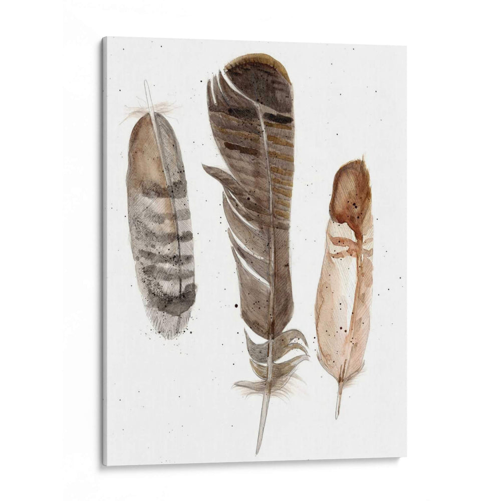 Plumas De Terrenales I - Alicia Ludwig | Cuadro decorativo de Canvas Lab