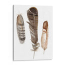 Plumas De Terrenales I - Alicia Ludwig | Cuadro decorativo de Canvas Lab