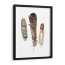 Plumas De Terrenales I - Alicia Ludwig | Cuadro decorativo de Canvas Lab