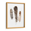 Plumas De Terrenales I - Alicia Ludwig | Cuadro decorativo de Canvas Lab