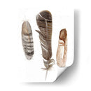 Plumas De Terrenales I - Alicia Ludwig | Cuadro decorativo de Canvas Lab