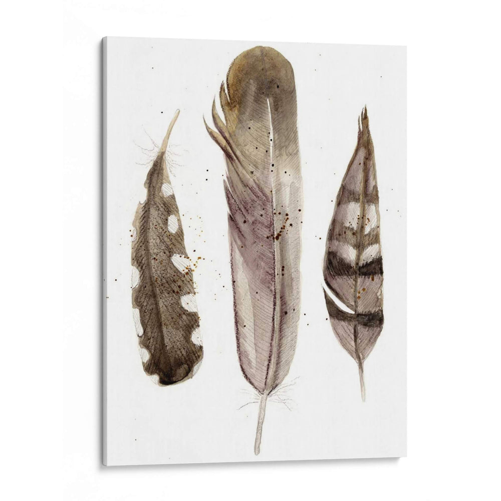 Plumas De Terrenales Ii - Alicia Ludwig | Cuadro decorativo de Canvas Lab
