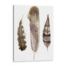 Plumas De Terrenales Ii - Alicia Ludwig | Cuadro decorativo de Canvas Lab