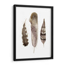 Plumas De Terrenales Ii - Alicia Ludwig | Cuadro decorativo de Canvas Lab