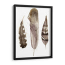 Plumas De Terrenales Ii - Alicia Ludwig | Cuadro decorativo de Canvas Lab