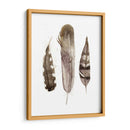 Plumas De Terrenales Ii - Alicia Ludwig | Cuadro decorativo de Canvas Lab