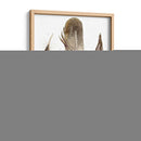 Plumas De Terrenales Ii - Alicia Ludwig | Cuadro decorativo de Canvas Lab