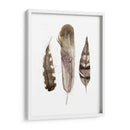 Plumas De Terrenales Ii - Alicia Ludwig | Cuadro decorativo de Canvas Lab