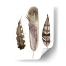 Plumas De Terrenales Ii - Alicia Ludwig | Cuadro decorativo de Canvas Lab