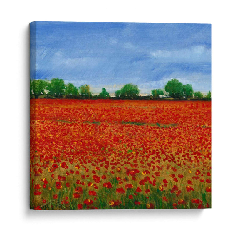 Campo De Amapolas I - Tim OToole | Cuadro decorativo de Canvas Lab