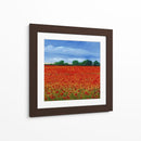 Campo De Amapolas Ii - Tim OToole | Cuadro decorativo de Canvas Lab