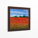 Campo De Amapolas Ii - Tim OToole | Cuadro decorativo de Canvas Lab