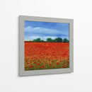 Campo De Amapolas Ii - Tim OToole | Cuadro decorativo de Canvas Lab