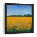 Campo De Girasoles Ii - Tim OToole | Cuadro decorativo de Canvas Lab