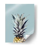 Arte de piña 1 - Vitor Costa | Cuadro decorativo de Canvas Lab