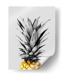 Piña dorada - Vitor Costa | Cuadro decorativo de Canvas Lab