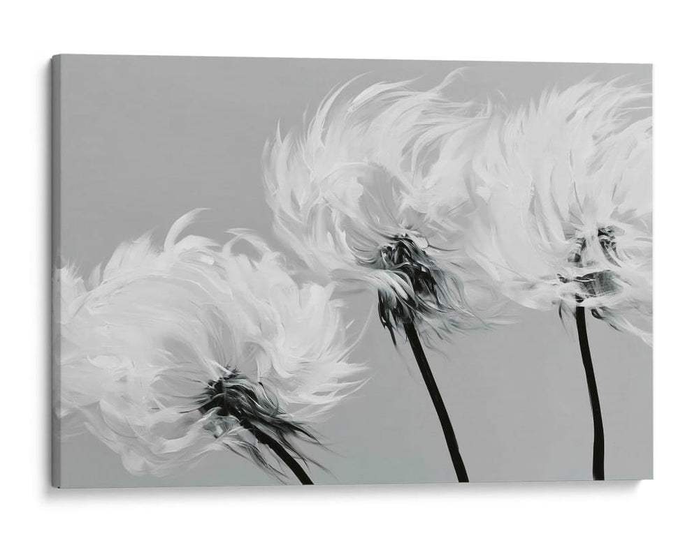Dientes de león con viento - DIEGO D L | Cuadro decorativo de Canvas Lab