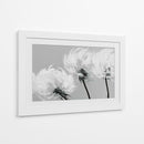 Dientes de león con viento - DIEGO D L | Cuadro decorativo de Canvas Lab