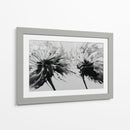 Dientes de león en bicolor en el viento - DIEGO D L | Cuadro decorativo de Canvas Lab