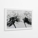 Dientes de león en bicolor en el viento - DIEGO D L | Cuadro decorativo de Canvas Lab