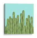 Cactus 15 - Vitor Costa | Cuadro decorativo de Canvas Lab