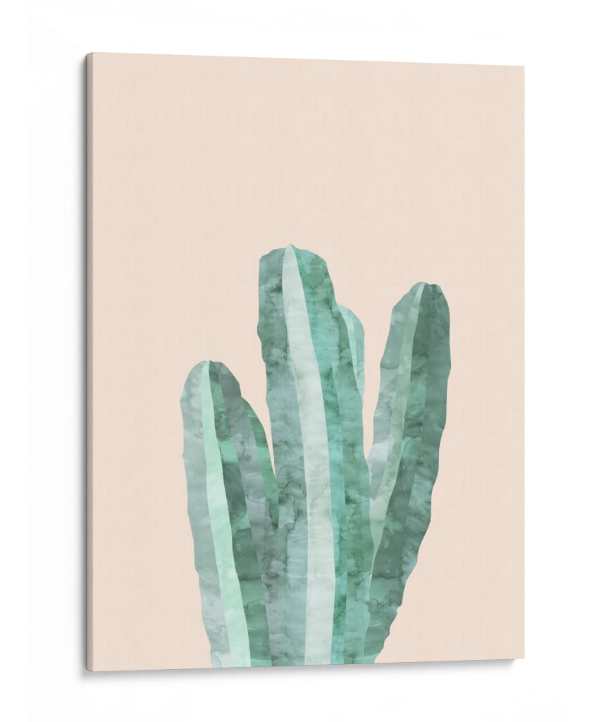 Cactus 16 - Vitor Costa | Cuadro decorativo de Canvas Lab