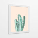 Cactus 16 - Vitor Costa | Cuadro decorativo de Canvas Lab