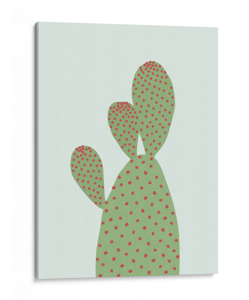 Cactus 18 - Vitor Costa | Cuadro decorativo de Canvas Lab