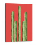 Cactus 19 - Vitor Costa | Cuadro decorativo de Canvas Lab