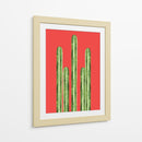 Cactus 19 - Vitor Costa | Cuadro decorativo de Canvas Lab