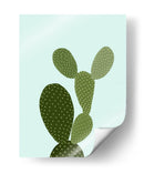 Cactus 21 - Vitor Costa | Cuadro decorativo de Canvas Lab
