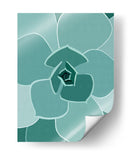 Cactus 22 - Vitor Costa | Cuadro decorativo de Canvas Lab