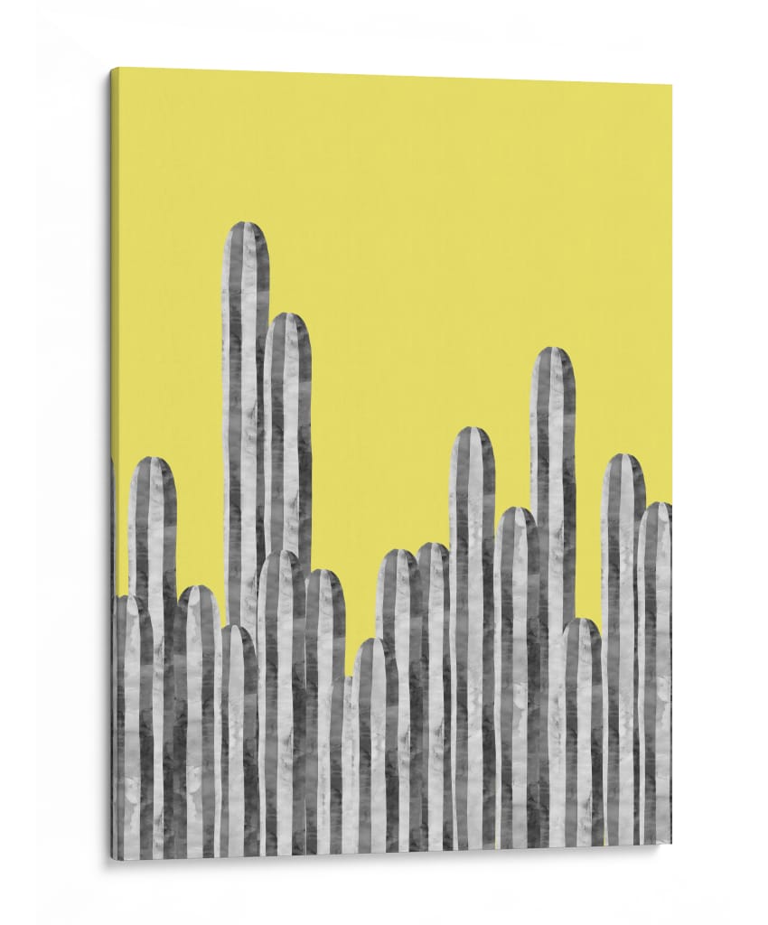 Cactus 26 - Vitor Costa | Cuadro decorativo de Canvas Lab