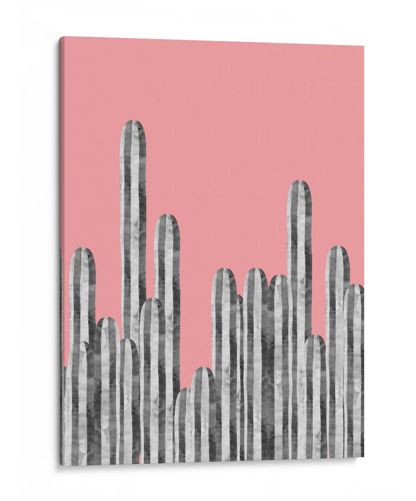 Cactus 27 - Vitor Costa | Cuadro decorativo de Canvas Lab