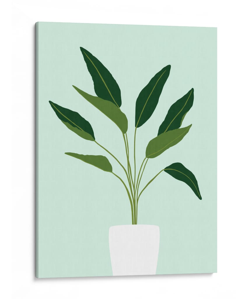 Cactus 28 - Vitor Costa | Cuadro decorativo de Canvas Lab