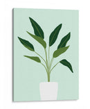 Cactus 28 - Vitor Costa | Cuadro decorativo de Canvas Lab
